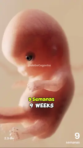 Marque uma Gravidinha 🤰🏻💖 . . . #gravida #gravidez #gestante #gestacão #gestacao #bebê #bebé #baby #babies #embarazada #embarazo #pregnant #pregnancy #foryou #fyp #fypシ #fypシ゚viral #viral #fy 