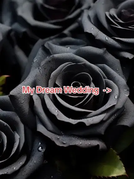 #blackwedding #gothicwedding #dark #gothic #skulls #wedding #dream #dreamwedding #fyp #Love #mydream #beauty #blackandred #gaywedding #TrueLove #foryoupage #foryou