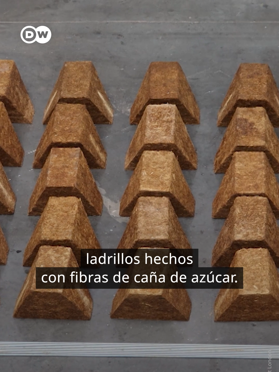 #DW Sugarcrete ladrillos hechos con fibras de caña de azúcar