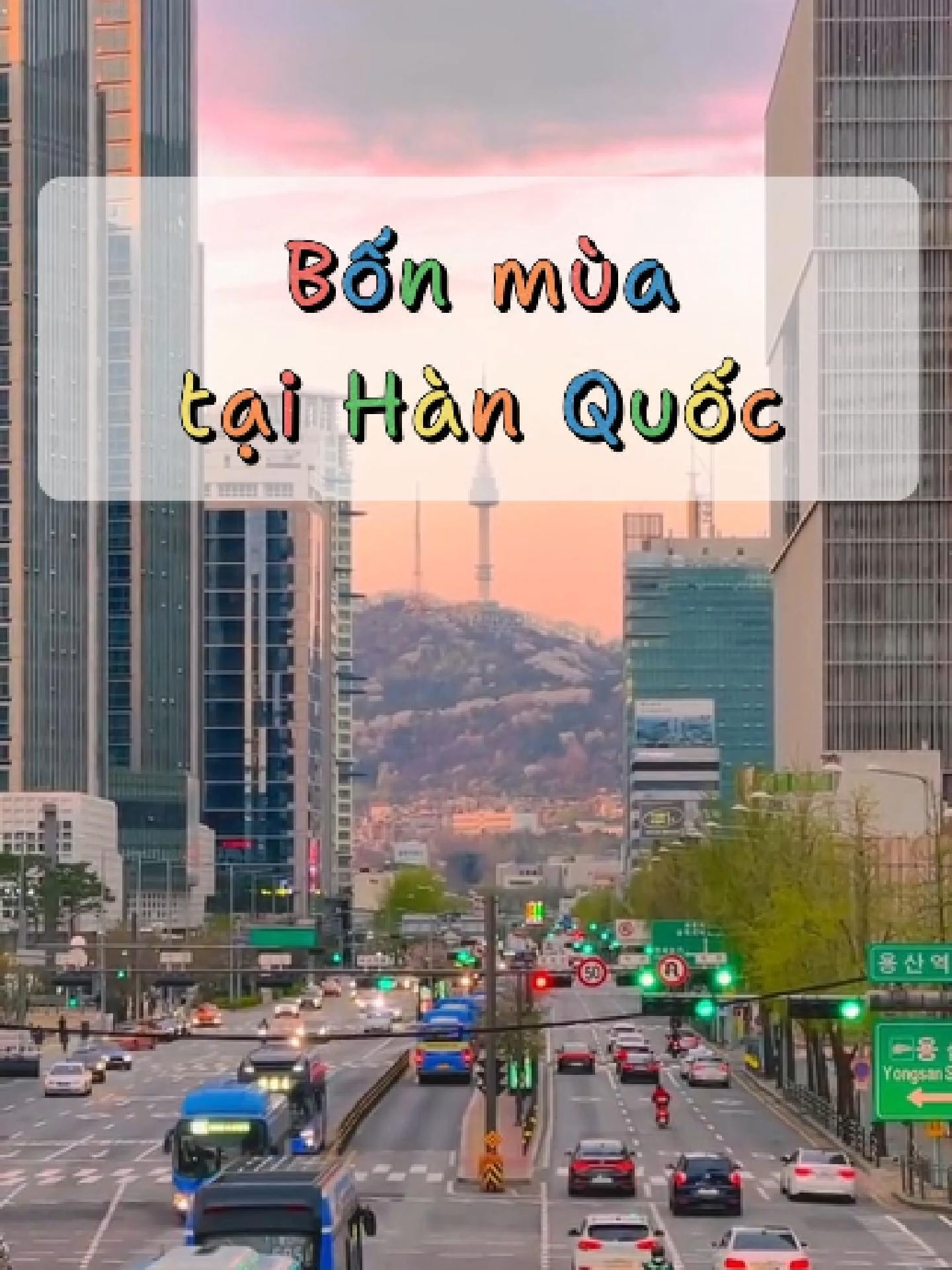 Hàn Quốc hiện đã vào mùa anh đòa nở rộ. Cùng Hanita tìm hiểu xem các mùa còn lại tại Hàn Quốc đẹp thế nào nhé!!! #hanita #hanitaeducation #duhochanita #duhochanquoc #hanquoc #spring #Summer #autumn #winter #fyp #trending #xuhuong #LearnOnTikTok