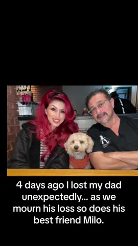 I’ve never experienced a loss like this… were shattered. Milo is shattered. I miss you dad. #imissyou 