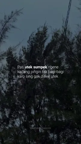 sumpek #areksuroboyo #suroboyoan #jancok #katakanjancok 