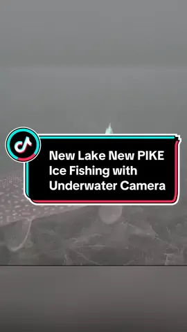 New Lake New PIKE Ice Fishing with Underwater Camera #fishing #fishingtiktoks #fishinglife #fishingtips #underwater #bassfishing #fishingvideos #icefishing #pike #catchfish #fyp #foryou 