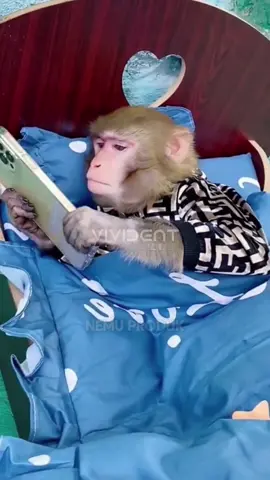 Hoki banget ketemu produk yg lagi viral di tiktok #perontokkaranggigi #mouthwash #karanggigi 