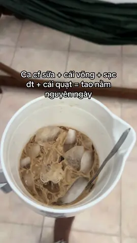 Tao mà nằm xuống cái võng rồi đừng ai hòng rủ tao đi đâu. Nhìn ca cf sữa biết dân miền tây liền 🤣 