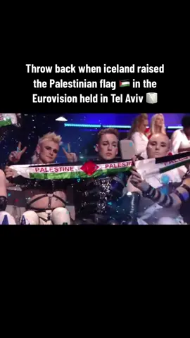 #eurovision #iceland #palestine 