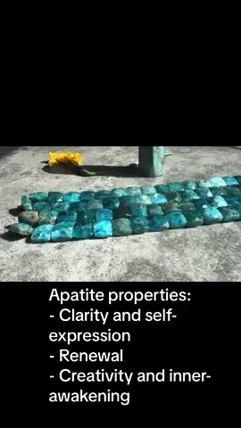 The word “apatite” originates from the Greek term meaning “to deceive.” This moniker reflects its chameleon-like nature, as Apatite can mimic other crystals, such as Peridot. Its colours span from deep blue-green to yellow, pink, and even violet. Apatite emerges from volcanic rocks, crystallizing layer by layer within cavities. Its unique bands of color tell a geological tale. These stunning apatite flat square beads will add striking beauty to your jewellery creations.  #tjaysbeads #apatite #shopgemstonebeads #gemstones #healing #traquility #crystals #reiki #innerawakening #renewal #clarity #beadwork #TikTokShop #naturalcolour 