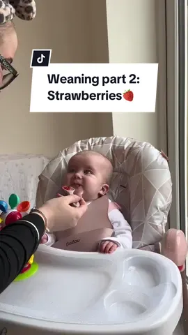 I thought she would love this one but I think she’s still on the fence😂💕#babyweaning #blw #weaningbaby #motherhood #maternity #maternityleave #blwweaningideas #newmum #firsttimemum #sahm #girlmum #foryourpage #fyp #viral 