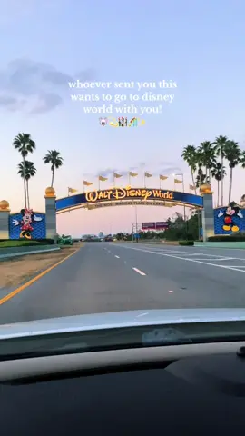 take this as your sign to start planning your next disney trip and make it happen!! 🐭💫🏰✨ #disney #disneyworld #waltdisneyworld #disneycastle #disneytrip #magickingdom #animalkingdom #hollywoodstudios #epcot #disneyparks #wdw @Disney @Disney Parks 