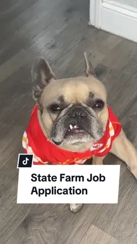 Hard workers always find jobs 🙏#statefarm #patrickmahomes #job #worklife #interview #dogparent #frenchbulldog #kansascitychiefs cred @Jason Banks  @Somefrenchienamedapollo  @Somefrenchienamedapollo 