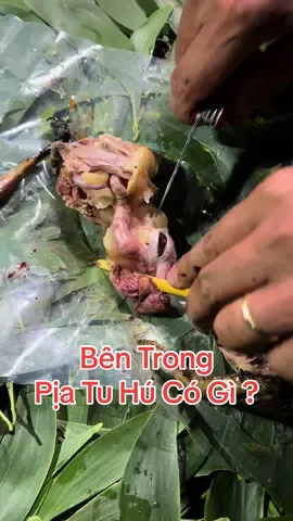 Bên trong pịa tu hú chỉ có trái cây ! ko có sâu như các bạn coi trên mạng đâu !#saukavlogs #trumtuhu 