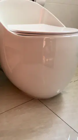 Chegou meu vaso monobloco, estou apaixonada 🥰 o que vcs acharam?              #casa #construcao #casanova #fy #fyp #diariodeobra #deca #vasosanitario #casadeluxo #luxo #bacias #privada #vasomonobloco #banheiros 