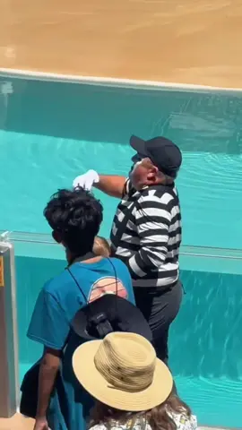 Soo funny #lol #tomthemime #tomtheseaworldmime #tommime  #tommime #mimefunny #seaworld #seaworldorlando #seaworldmime  #vibes #lol #hilarious #mime #funny #funnyvideos #fyp #foryou 