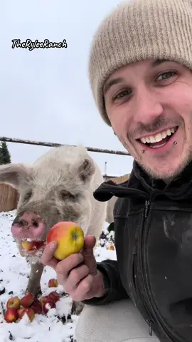 Kalan at The Rylee Ranch: Looks like we got snow! Let’s check in with all the animals. #ryleeranch #kalanrylee #followme #foryou #foryoupage #fyp #trending #tiktok #Love #animals #viral #outdoor #spring #farm #farmlife #dailylife #gayboy #farmboy #alberta #cow #llama #alpaca #goat #emu #ostrich #chickens #turkey #pig 