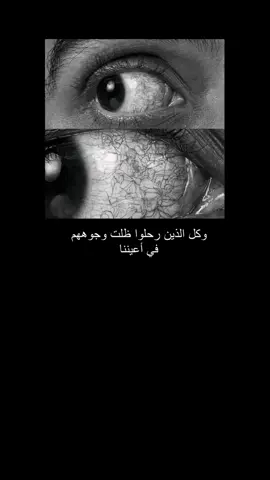 اقتباس #fyp #أنيس_منصور #foryou 