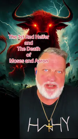 #God #YHWH #Jesus #Christ #Bible #bibletiktok #Trumpet #truth #Orlando #Savannah #cometoJesus #fallenangel #Jubilee #redheifer #Numbers #greenscreenvideo #greenscreen 