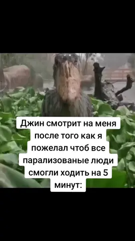 Больше мемов у меня в телеге #мемнаяпалочка #мемчик #мем 