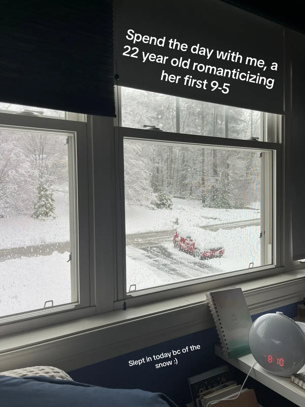 Work from home with me! Spent the snow day busy at work 😭 #ditl #spendthedaywithme #postgradlife #romanticizeyourlife 