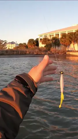 This lure gets it done every time!! #fishing #southernsalt #fish #saltwaterfishing #adventure #kayakfishing 