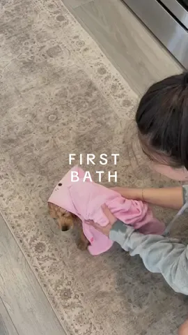 THE END 😭😭 she was KNOCKED after that hahaha #puppy #puppylove #puppyvlog #viral #newpuppy #newpup #firstbath #puppybath #bathtime #aesthetic #routine 