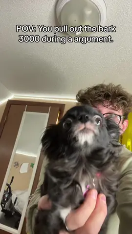 GET EM PUDDIN 😡😂 #1jolly1 #joshpuddinanddozer #pets #dogs #tiktok 