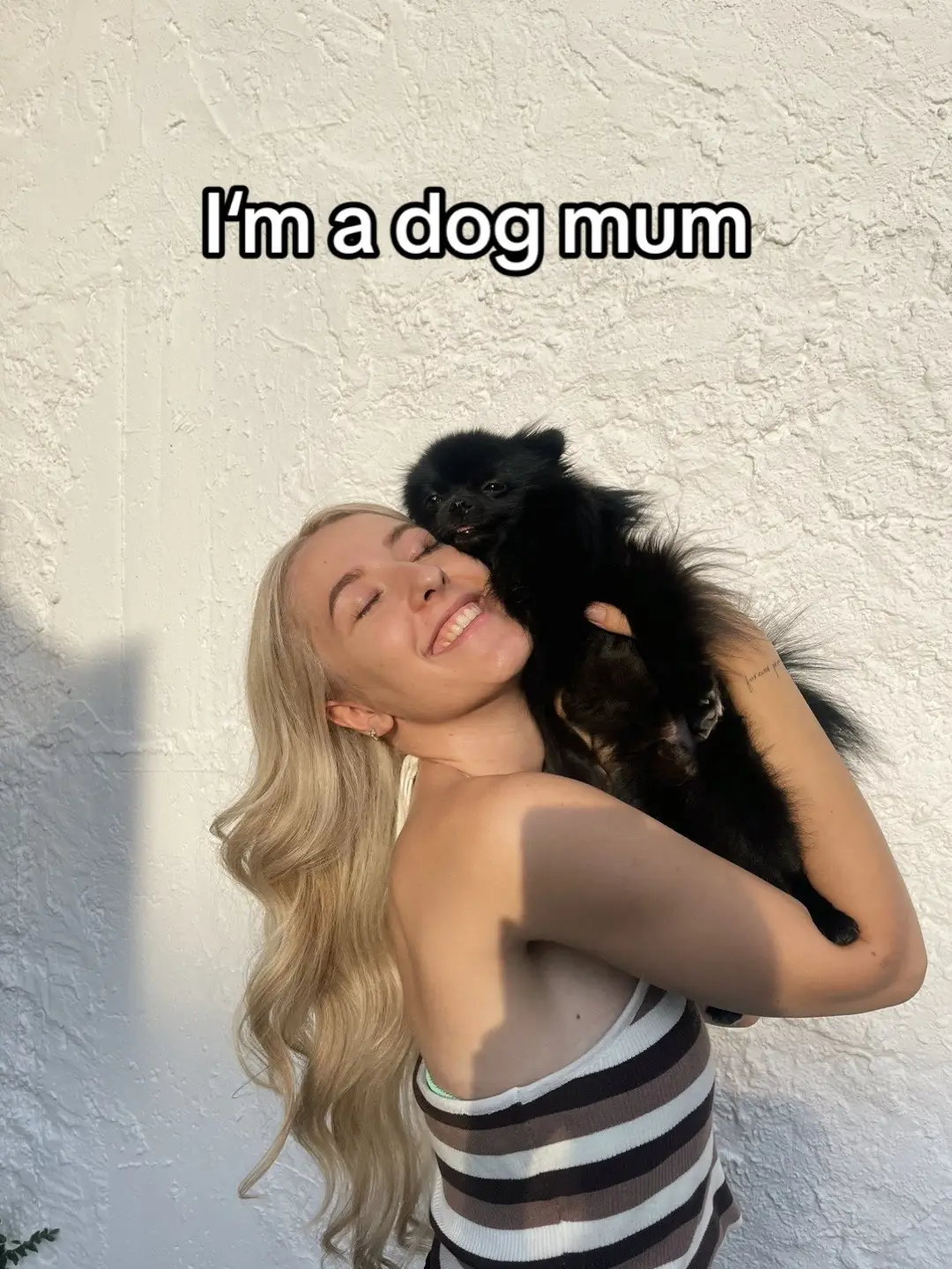 Ich rede so oft in vollen Sätzen mit ihm wie als würde er mich verstehen🥹😂 #dogmum #dogmumlife #pomeranian 