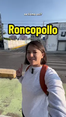 La calle Roncopollo en Querétaro 🐥 ¿chikencof? #querétaro #roncopollo #calleroncopollo  #historiadequerétaro #datoscuriososdequerétaro 