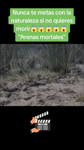 Película: arenas mortales ☠️😱🎬 #pelicula #viral #parati #foryou #pelicula #peliculas #pelicula #areanasmortales #parati #viraltiktok 