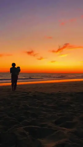 Life is beautiful 🕊️🤍 #CapCut #lifecinematically 