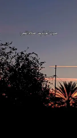 { وَأَشْرَقَتِ الْأَرْضُ بِنُورِ رَبِّهَا } 🤍🌿 #صلاة #رمضان_كريم #رمضان_مبارك #فولو #صوت_العصافير #صوتيات_بدون_موسيقى #عصافير #الطقس #مطر #غيوم #فولو #تصوير #تصويري #تصوير_فوتوغرافي #ستوريات #تصميم #لايك  #هادی #غيم #الشويرات_في_القلب🍅💙 #عبارات #عباراتكم #اقتباسات  #اجواء  #fyp #explore #الشتاء #اكسبلور 