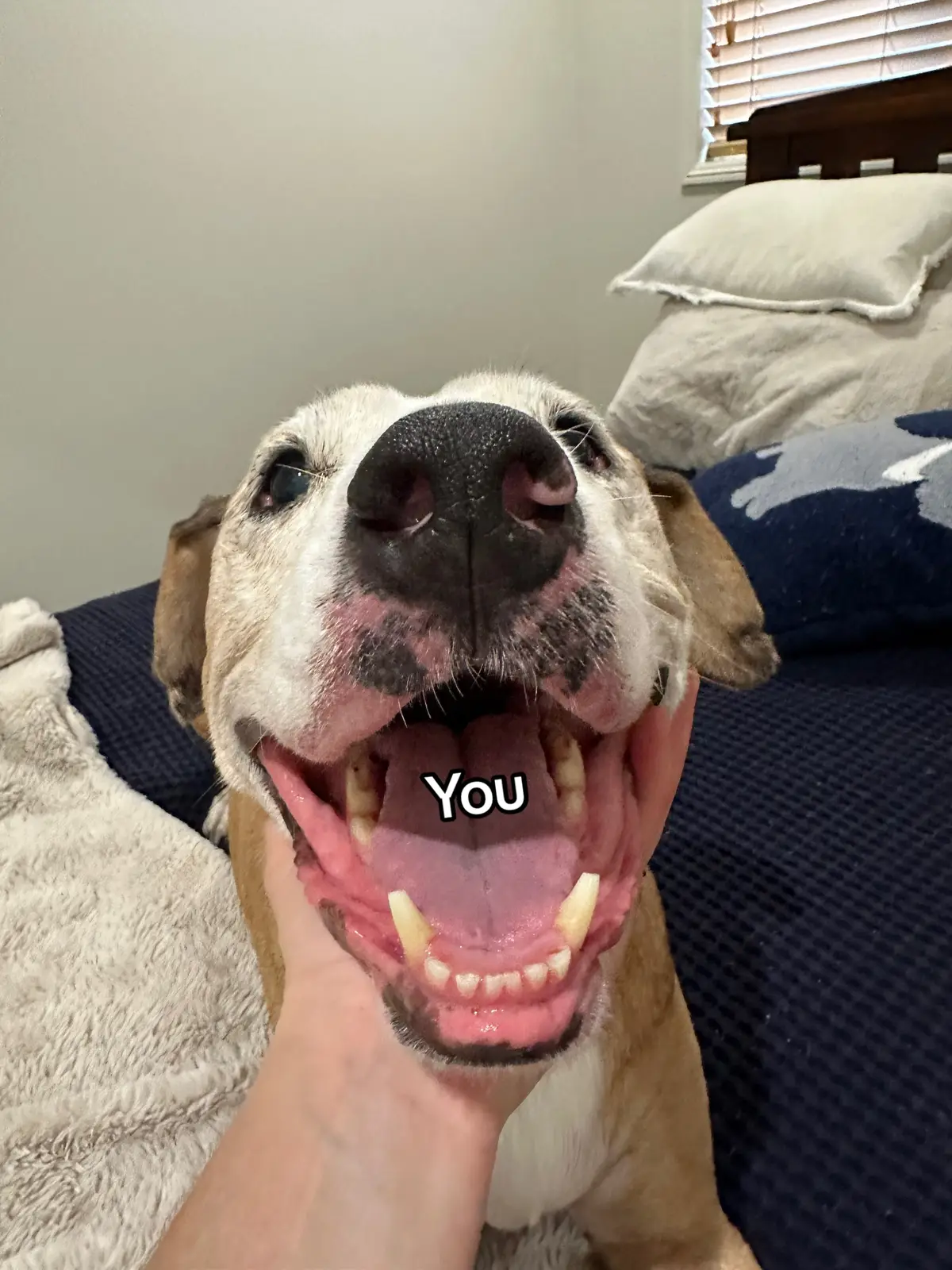 YOU AND ME 🥰 