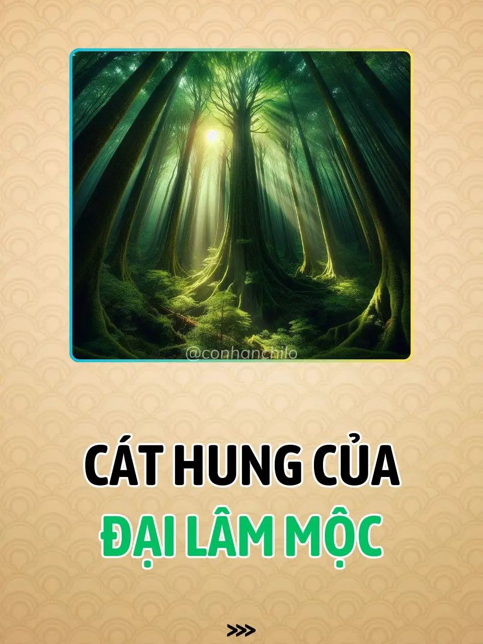 Mua Cửu Ngư Quần Liên ở đây 👉@Cổ Nhân Chỉ Lộ  #tuvi #tuvituongso #tuvisomenh #nguhanh #nguhanhnapam #menhmoc #dailammoc #conhanchilo #xuhuong 