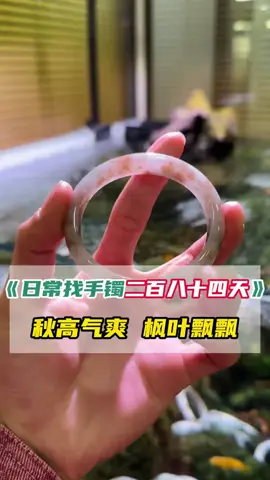秋高氣爽、楓葉飄飄！那麼漂亮的手鐲，可是錘錘爲什麼會和小姐姐合夥降預算
