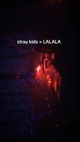 I N S A N E  #straykids #straykidslalala #skzfyp #viral #perte #fyp #straykidsfanconnecting2024toyworld 