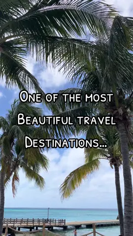Turks & Caicos, enough said. #turksandcaicos #grandturk #port #bestplacestovisit #summervacationideas #creatorsearchinsights #traveltiktok #cruisetok #fyp #clearwater #snorkeling 
