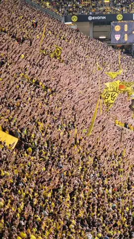 Egal wie der Spielstand ist die GELBE WAND ist immer da! #bvb #bvb09 #bvbvfb #signaliduna #westfalenstadion #50jahre #gelbewand #dortmund #südtribüne #Süd #Bundesliga #Wochenende #echteliebe 