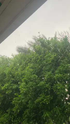 مطررررر🌧️🌧️🌧️🌧️🌧️ ياررررب امانينا🦋🤍