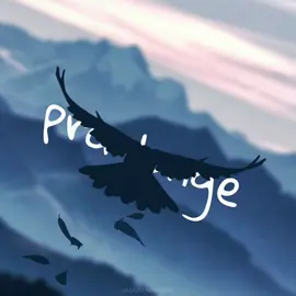Two Birds - Regina Spektor #twobirds #edit #tiktok #alightmotion #aftermotion #2d #edicao #4k #foryoupage #foryou #aesthetic 