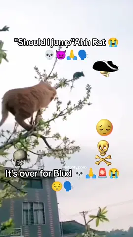 Blud is cooked 😭🙏😔🗣️😡❌🚨👿 #viralvideo #skull #funny #meme #donpollo #goofyahh #goofy #goofyahhsound #blud #billcollector #bills #fyp #fypシ゚viral #fy #catsoftiktok #cat #catslovers #catlover #rat #meme #fun #funnyvideo #billcollectormeme #billcollector #goofyahhsound #viralvideo #sad #algoritmotiktok #algorithm #skull #funnytiktok 