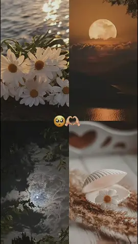 #CapCut #الشعب_الصيني_ماله_حل😂😂 #fypシ゚viral🖤tiktok #عبارات #مهدية_منستير_سوسه_تونس_ 