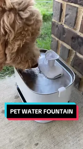 This cordless pet water fountain is perfect to set up outdoors. Your pets will always have fresh filtered water! #petaccessories #waterfountain #filteredwater #waterbowl #goldendoodle #puppiesoftiktok #dogsoftiktok #goldendoodlesoftiktok #goldendoodlepuppy #dog #dogs #pet #PetsOfTikTok #petsoftiktok #cute #cutedog #cutepet #cutepuppy #puppies 