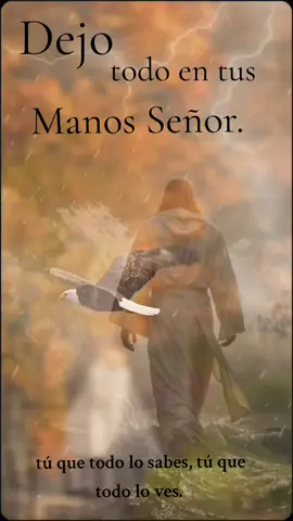 #CapCut #parati #amor #diosesamor #solocreoenti #dios #dejotodoentusmanoseñor #entisoloconfioseñor🙌 