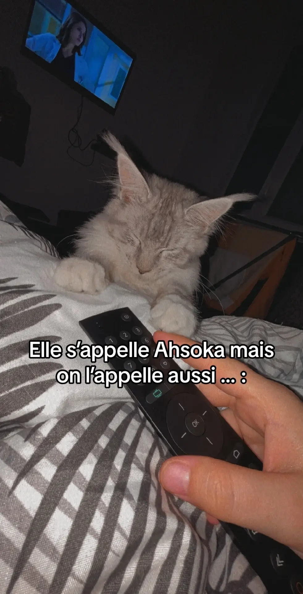 #pourtoi #fypシ゚viral #devinelapersonne #trending #fyp #CapCut #trendingsong #trend #mainecooncat #chat #cute 