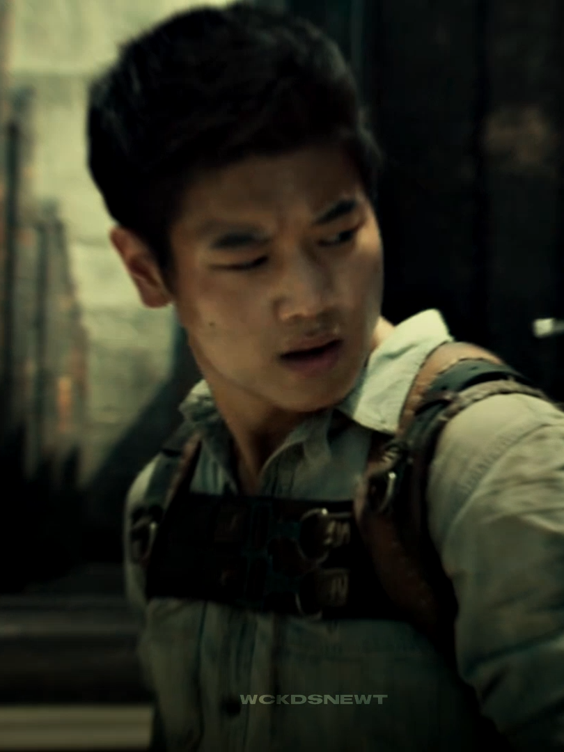 subject a7, the leader. #mazerunner #mazerunneredit #minho #minhoedit #minhomazerunner #kihonglee #kihongleeedit #edit #fyp #tmr