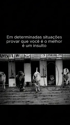 uma comparação ridicula #narcisismo #motivacional #sucesso #omelhor #estoicismo 