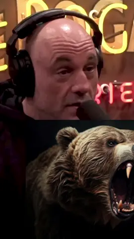 Grizzly Bear CRAZY Video #joerogan #shorts #grizzlybear #crazy