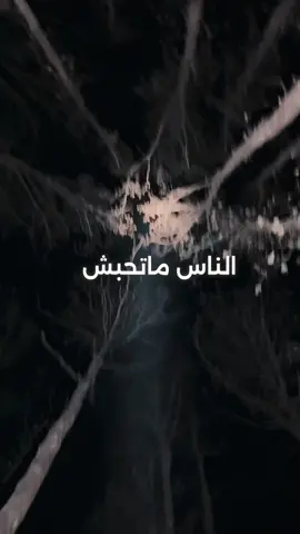 الصراحة واعرة ..