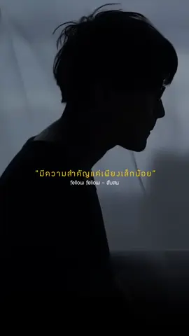 fellow fellow - สับสน #รับโปรโมทเพลง #เพลงฮิตในtiktok #เธรดเพลงเพราะシ🤍🎧🎶 #fellowfellow #สับสน
