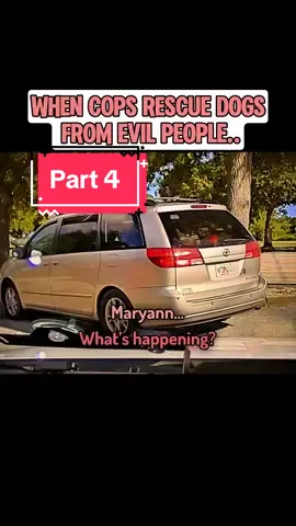 #copstaan #cops #copsoftiktok #police #crime #truecrime #bodycam #fyp #fypシ #viral #viralvideo 
