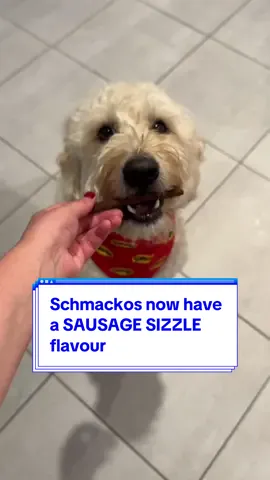 #sausagesizzle flavour must be like heaven for #dogs 😩 #schmackos #dogtreats #dogsoftiktok 